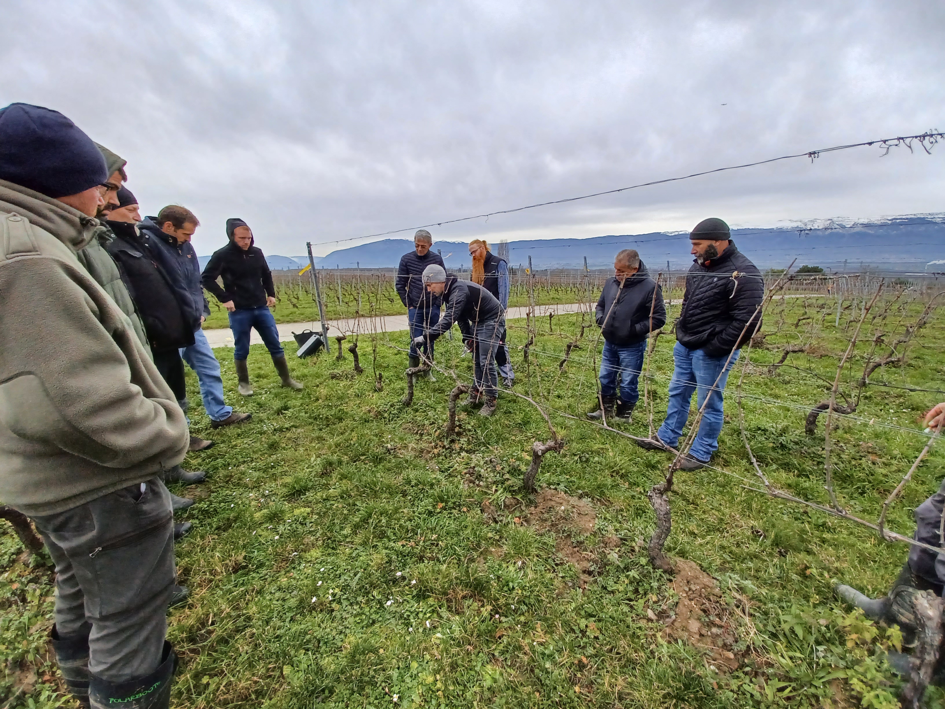 Photo groupe intérêt viticulture durable